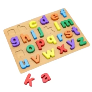 Wooden educational puzzle